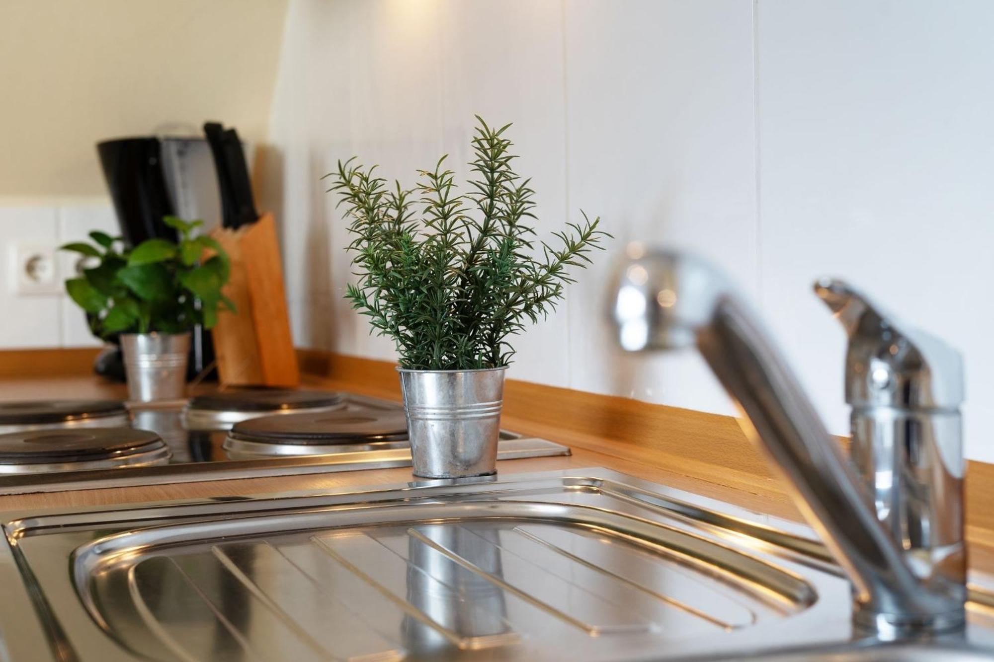 Cismarer Strasse 32 Sonne Und Wind 2 Apartman Dahme  Kültér fotó